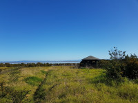 Karaka Bird Hide Thames
